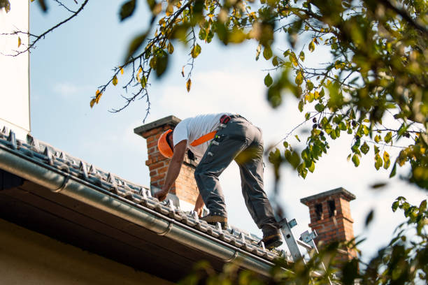 Best Roof Leak Repair  in Big Bend, WI