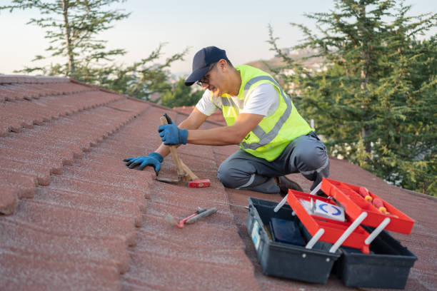Best Roof Gutter Cleaning  in Big Bend, WI
